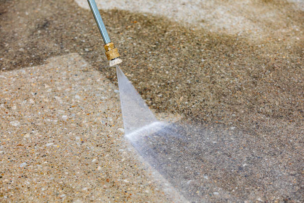 Best Dumpster Area Cleaning  in Round Lake Heights, IL